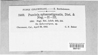 Image Associated With the Occurence